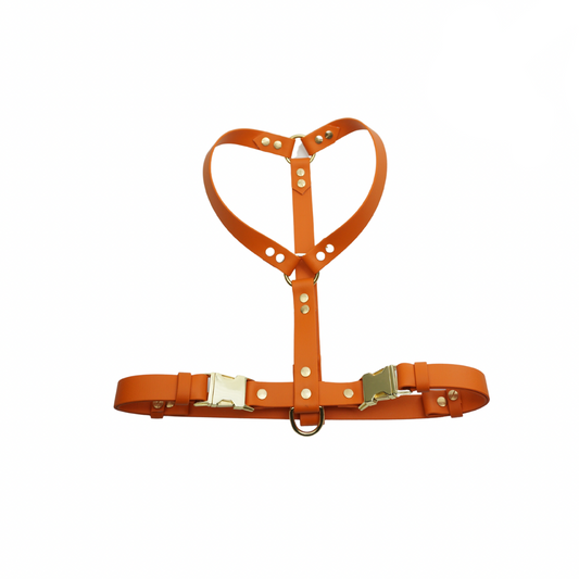 Biothane Geschirr „Everyday“ – individuell, robust & flexibel