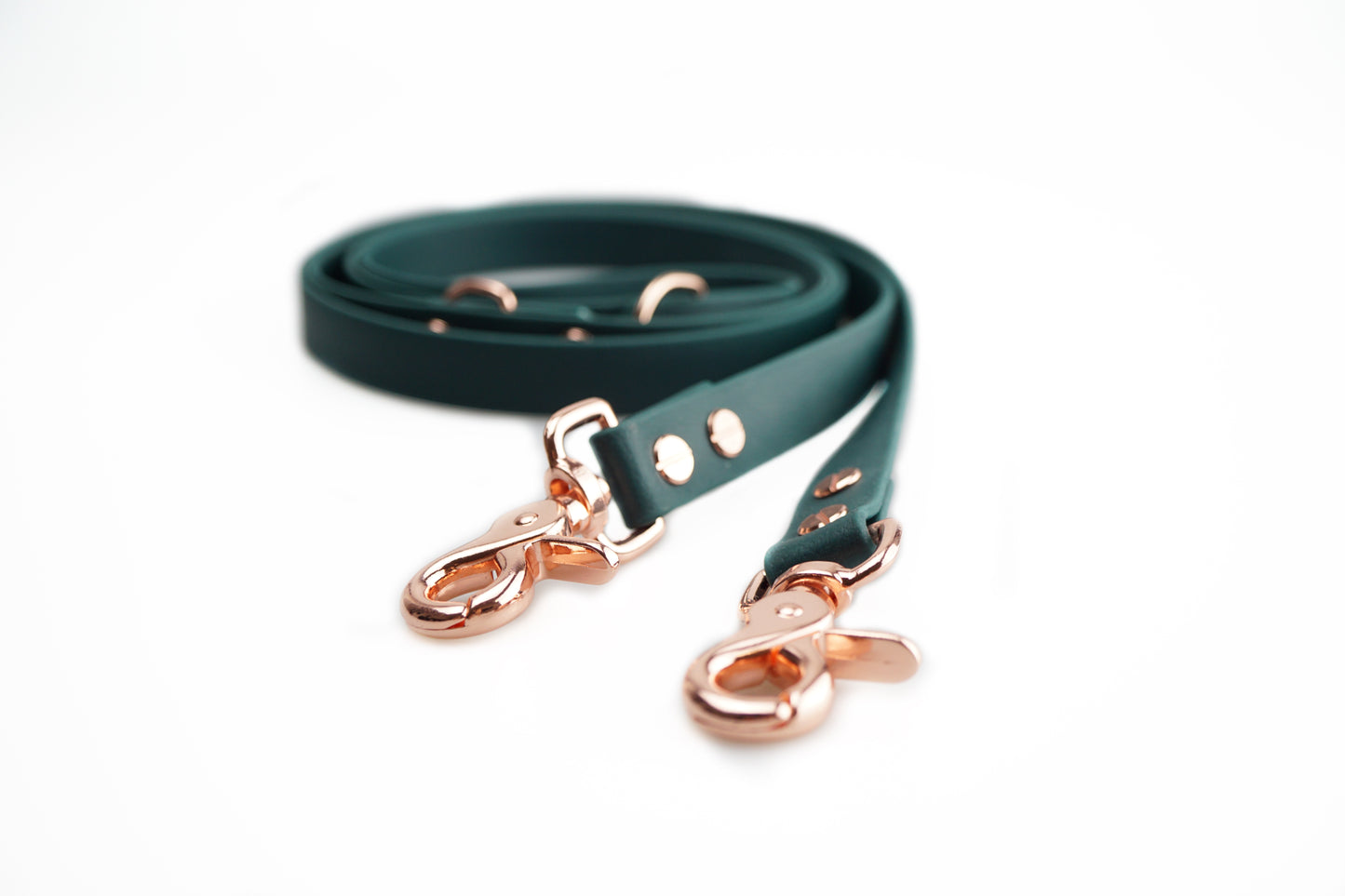 Biothane Leine „Everyday“