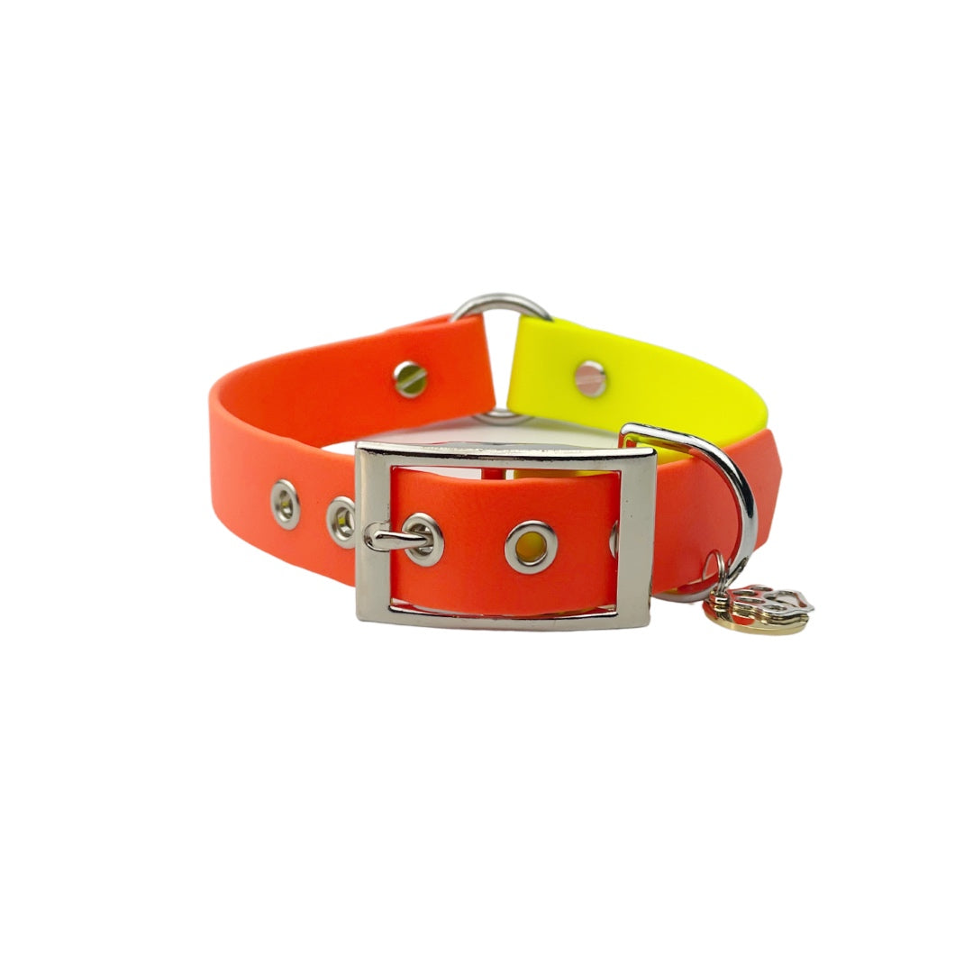 Biothane Halsband "Colorful"