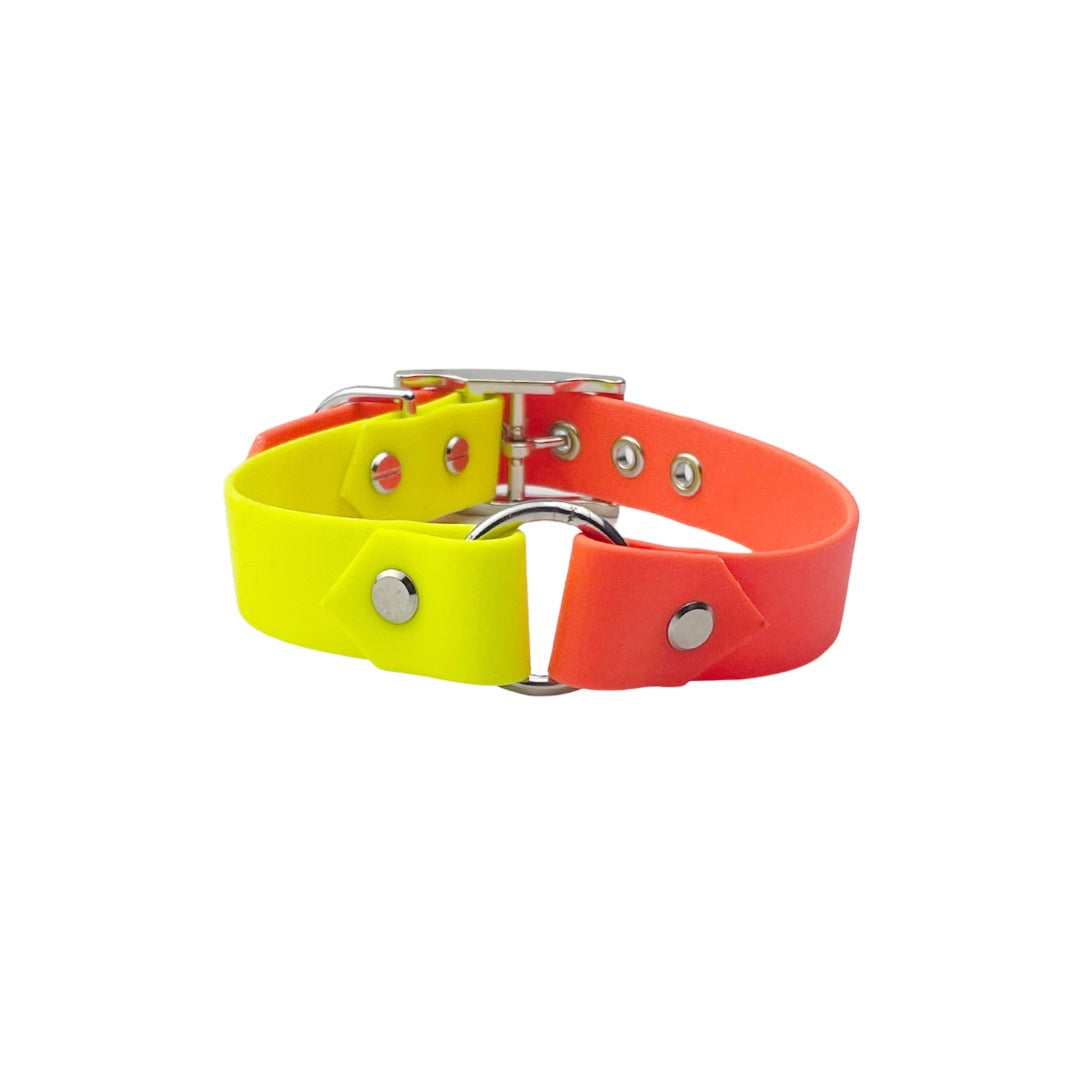 Biothane Halsband "Colorful"