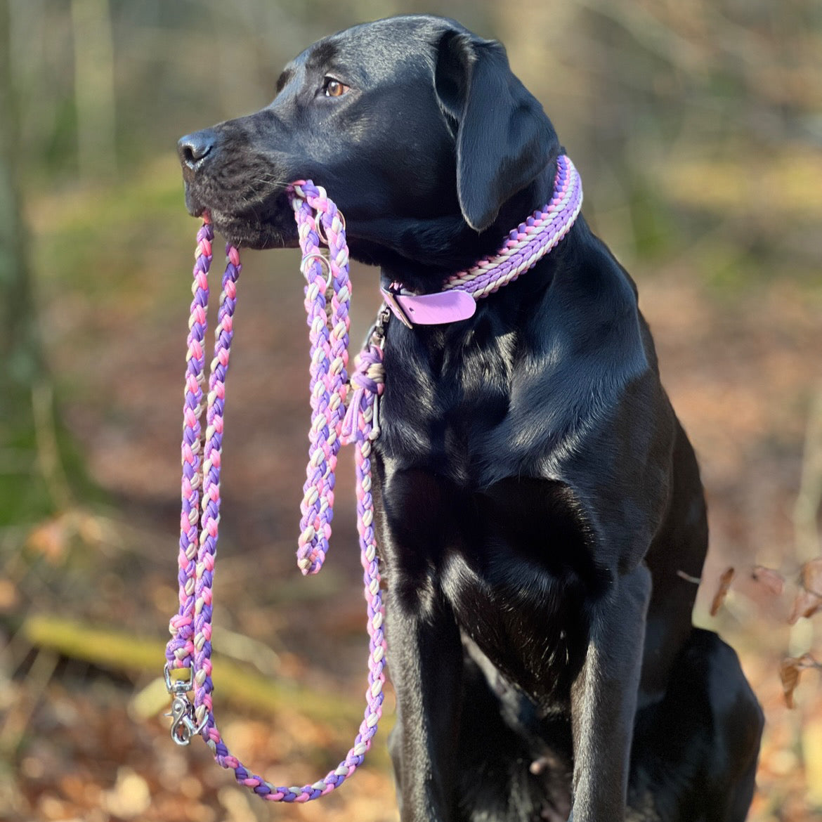 Paracord Set „Lilac Bloom“ – sanft, verspielt & detailverliebt