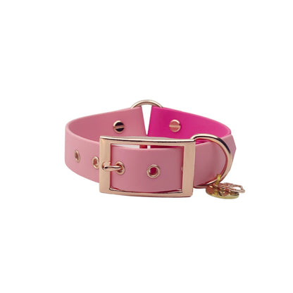 Biothane Halsband "Colorful"