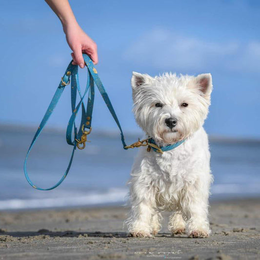 Biothane Leine „Sprinkle"- einzigartig wie dein Hund