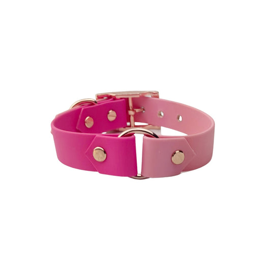 Biothane Halsband "Colorful"