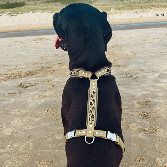 Biothane Geschirr "Weekend" Für große Hunde. Stylisch & Stabil