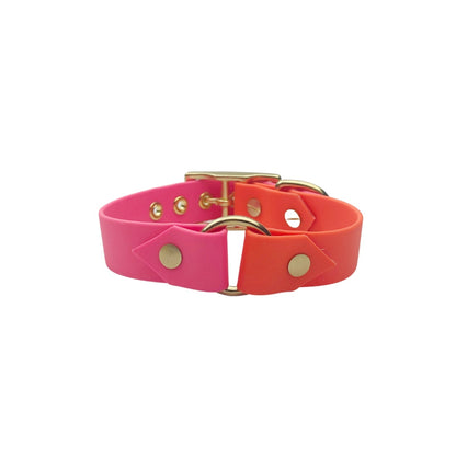 Biothane Halsband "Colorful"