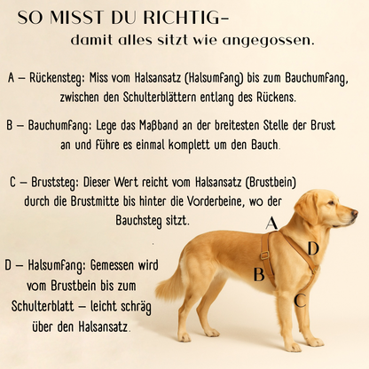 Biothane Geschirr "Weekend" Für große Hunde. Stylisch & Stabil