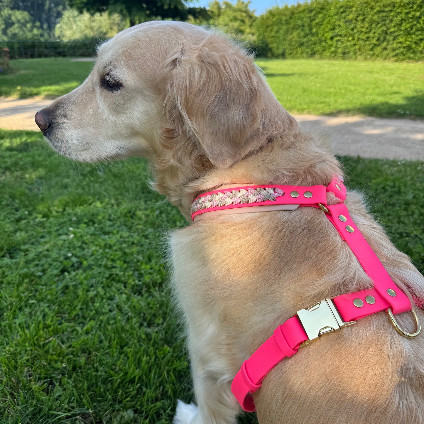 Biothane Geschirr "Weekend" Für große Hunde. Stylisch & Stabil