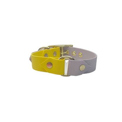 Biothane Halsband "Colorful"